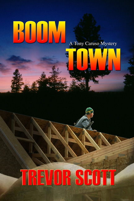 Cover image for Boom Town
